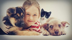 Safety with Children and Pets